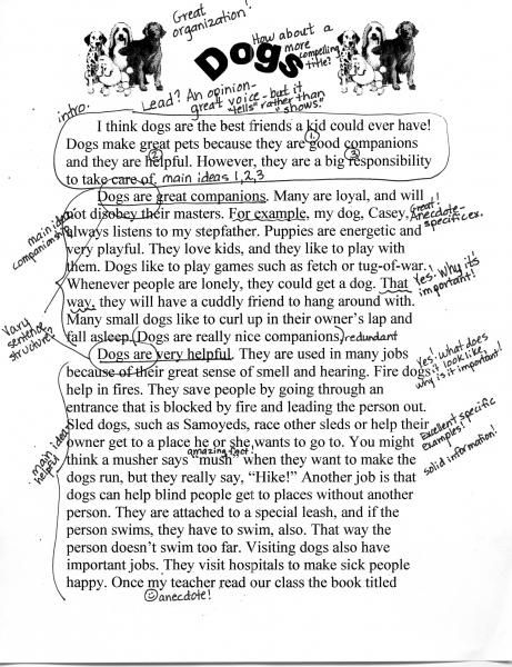 Sample informative essay examples