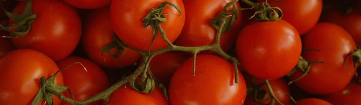 How To Make Jarred Tomato Sauce Taste Homemade Tomato Sauce Tomato how-to-make-jarred-tomato-sauce-taste-homemade-tomato-sauce-tomato