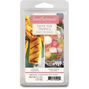 scentsationals taste the tropics duo spring 2017 walmart christmas scented candles