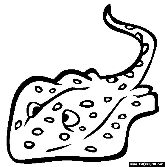 12 best coloring sheets images on pinterest | coloring sheets ... - Stingray Coloring Pages Printable 12 best coloring sheets images on pinterest | coloring sheets ... - Stingray Coloring Pages Printable