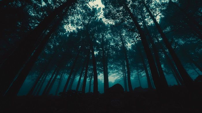 windows 10 gothic themes windows 10 gothic themes