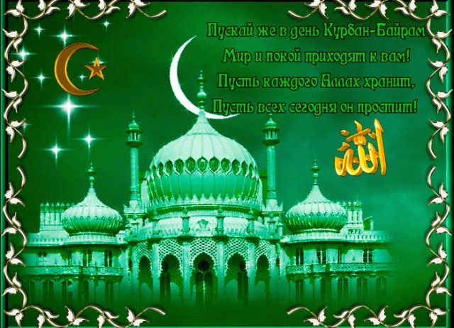 Qurban Bayrami Təbrik Mesajlari Google Images Image Content
