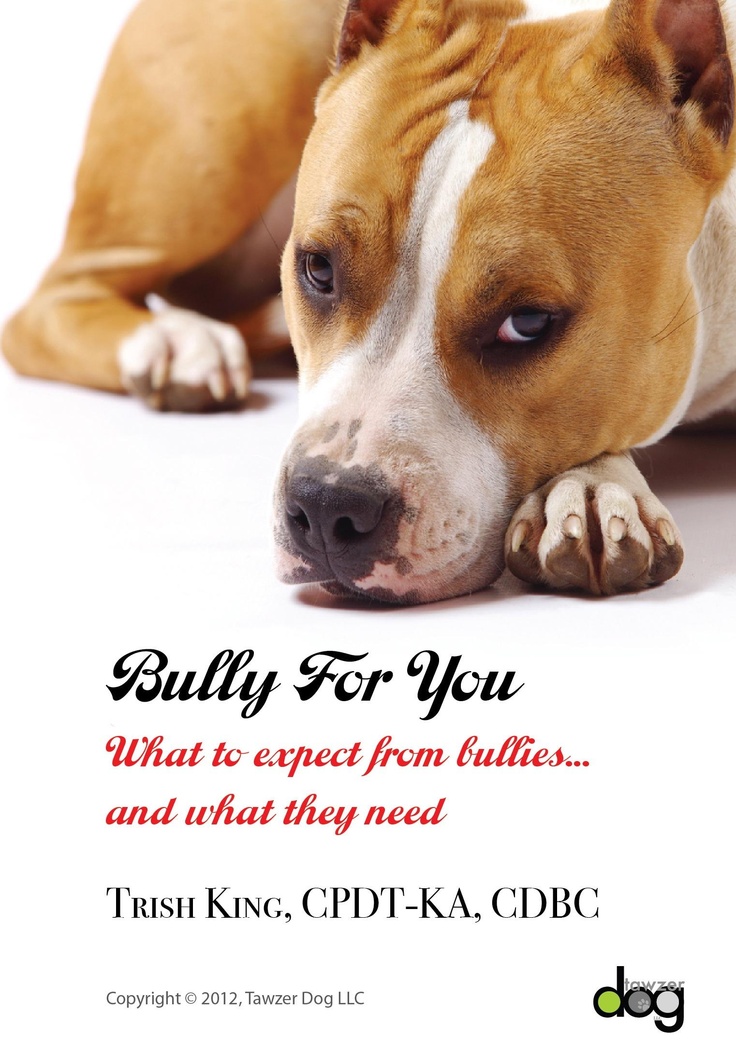 Heel Dog Training Meaning Heel Dog Training Meaning