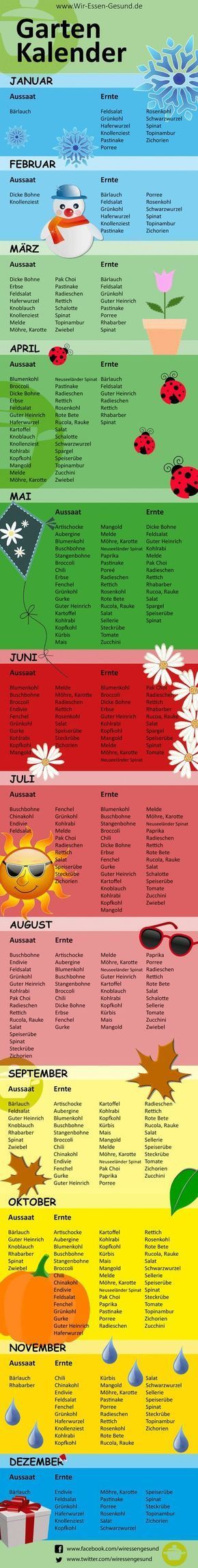Welche Gemüsesorten kann ich wann anbauen? Schöner Gartenkalender von www.wir-...