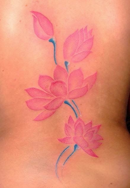 best 25 lotus flower design ideas on pinterest lotus flower best 25 lotus flower design ideas on pinterest lotus flower