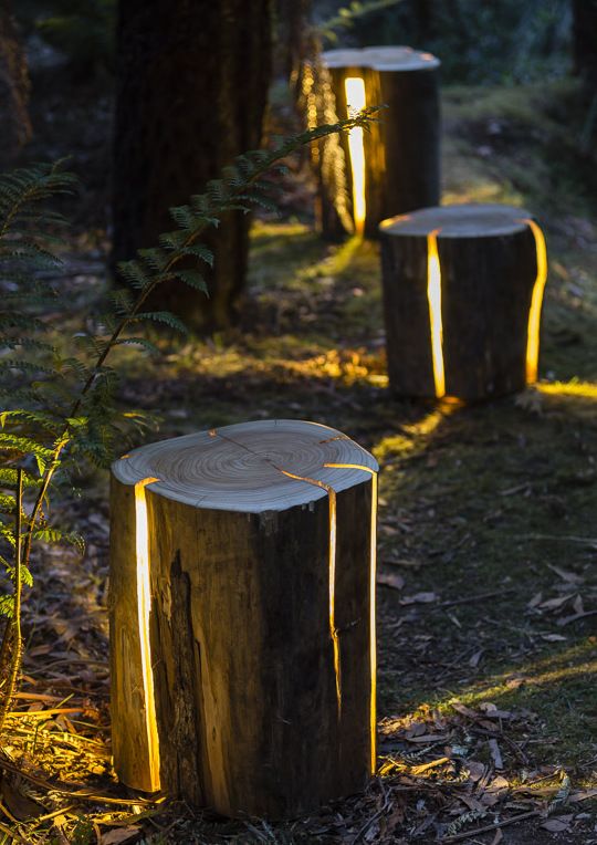 coole gartendeko idee für moderne gartengestaltung mit baumstümpfen als garten...
