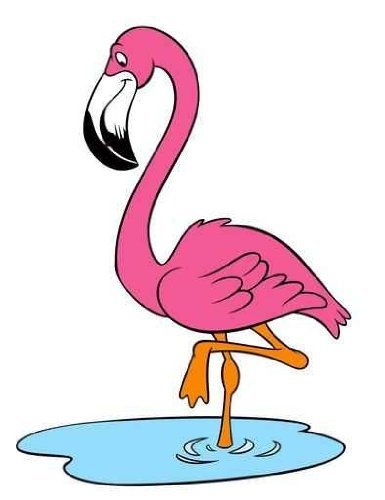 T Shirt Decor Flamand Rose T Shirt Decor Flamand Rose