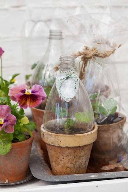 Best 20+ Terrarium Containers Ideas On Pinterest Terrarium 10 Terrarium Containers Projects for Your Kids - Everything Backyard - Best 20+ Terrarium Containers Ideas On Pinterest Terrarium