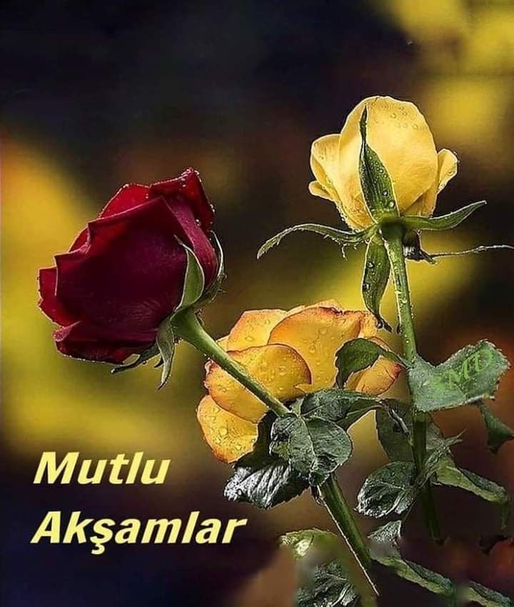 esma yilmaz adli kullanicinin gunaydin sozleri panosundaki pin resim mutlu gunaydin sozleri