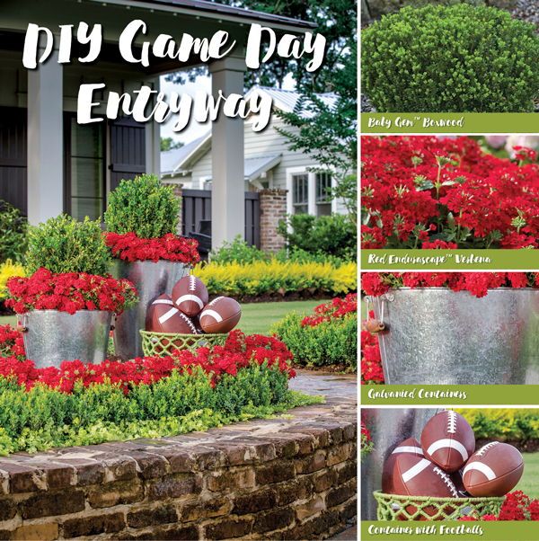 Don T Leave Your Team Spirit At The Tailgate With Images