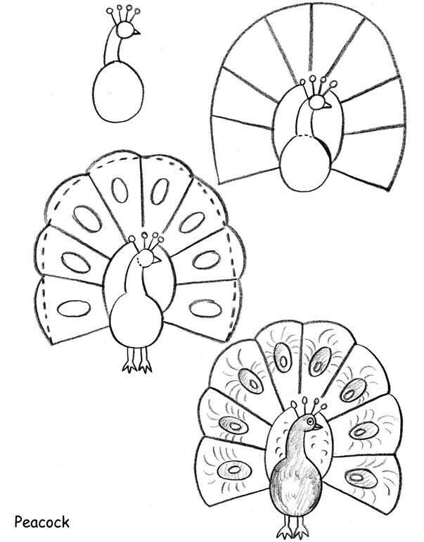 how to draw peacock