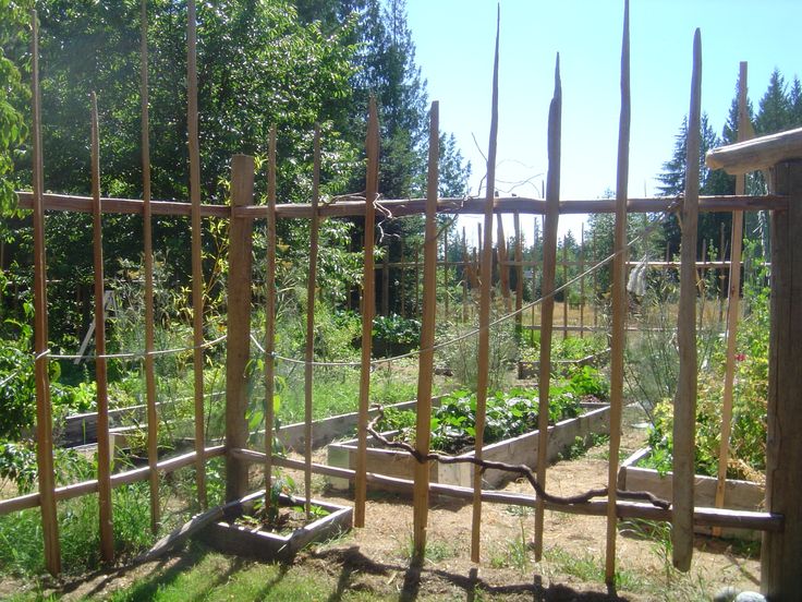Deer Proof Vegetable Garden Ideas diy garden deer fence and how to build a deer proof… funky, garden Deer Proof Vegetable Garden Ideas diy garden deer fence and how to build a deer proof… funky, garden