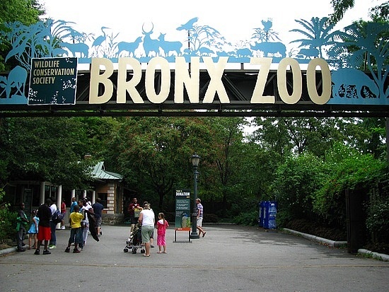 Bronx zoo coupon code