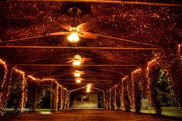 Historic Seven Sycamores Ranch In Ivanhoe Ca The Location West Historic Seven Sycamores Ranch In Ivanhoe Ca The Location West Pinterest Wedding Venues And