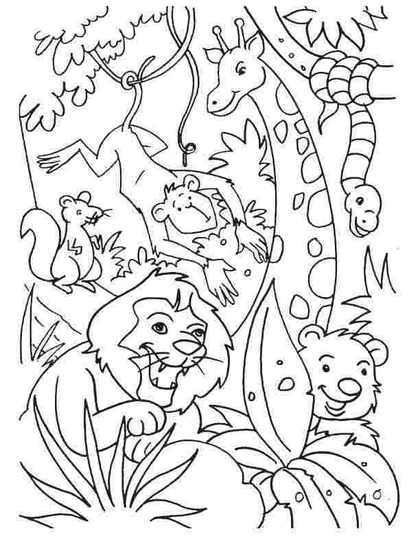 Coloring Pages For Animals Free Colouring Pages Jungle Animals Jungle Safari Coloring In 2020 Animal Coloring Books, Jungle Coloring Pages, Animal Coloring Pages Coloring Pages For Animals Free Colouring Pages Jungle Animals Jungle Safari Coloring In 2020 Animal Coloring Books, Jungle Coloring Pages, Animal Coloring Pages