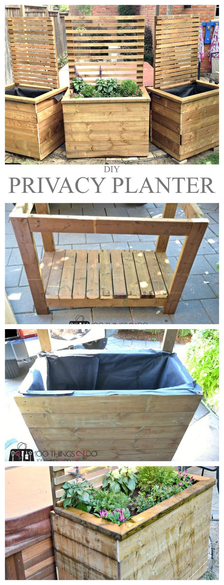 46 Best Privacy Plants Images On Pinterest Landscaping Privacy 46 Best Privacy Plants Images On Pinterest Landscaping Privacy