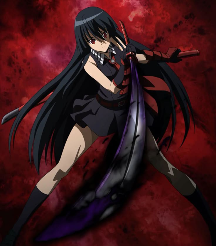 Akame ga zero anime