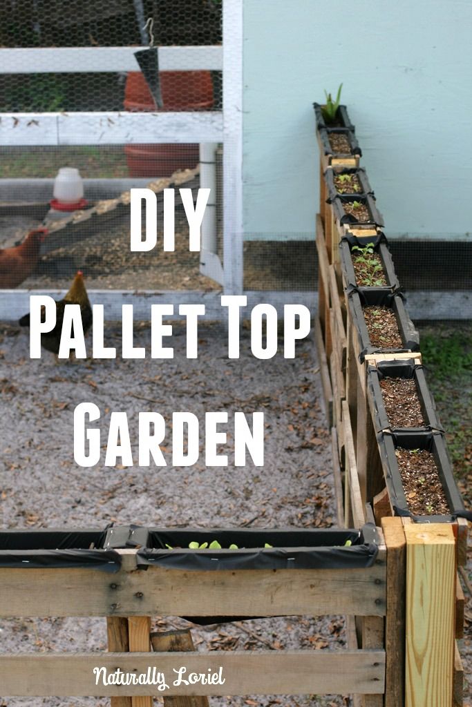 best 25 pallet garden projects ideas on pinterest pallet gardening pallet ideas for a garden and pallet allotment ideas - Garden Ideas Using Wooden Pallets best 25 pallet garden projects ideas on pinterest pallet gardening pallet ideas for a garden and pallet allotment ideas - Garden Ideas Using Wooden Pallets