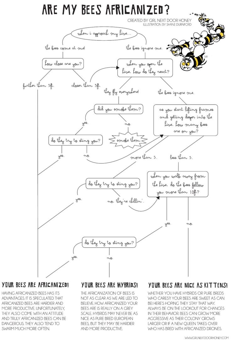 complicated flowchart 221 best beekeeping images on bees beekeeping complicated flowchart 221 best beekeeping images on bees beekeeping