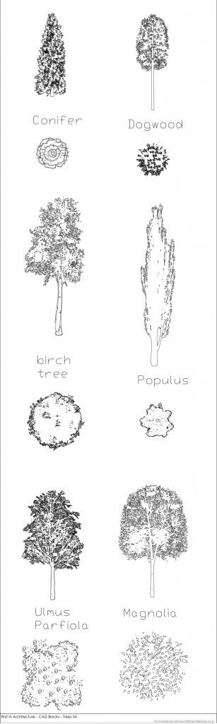 Landscape Architecture Plan Trees 417 best alberi/tree images on pinterest | landscape design Landscape Architecture Plan Trees 417 best alberi/tree images on pinterest | landscape design