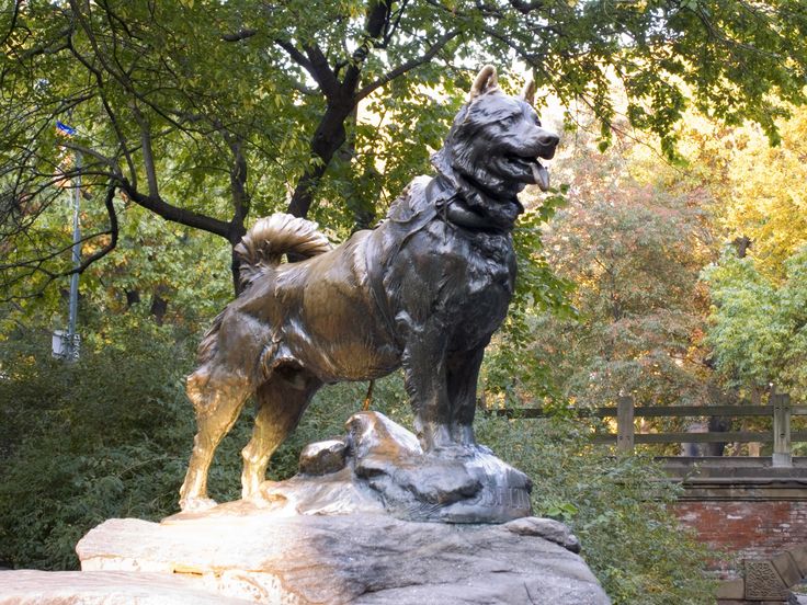 Arctic Dog Statue Central Park Arctic Dog Statue Central Park