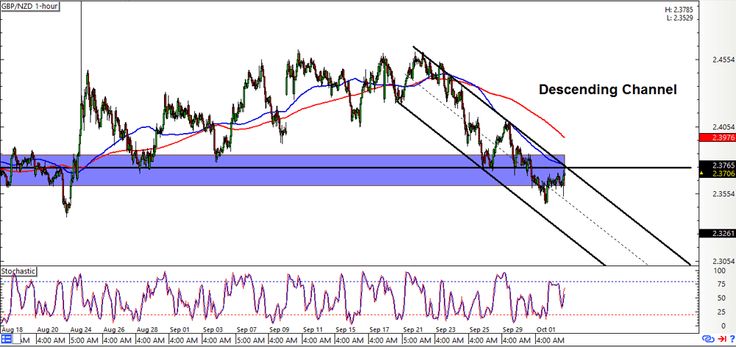 Forex gbp nzd