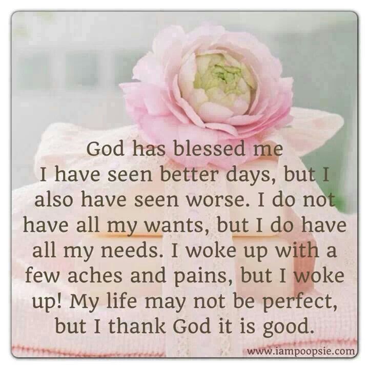 Best Food Quotes Pinterest Best Food Quotes Pinterest