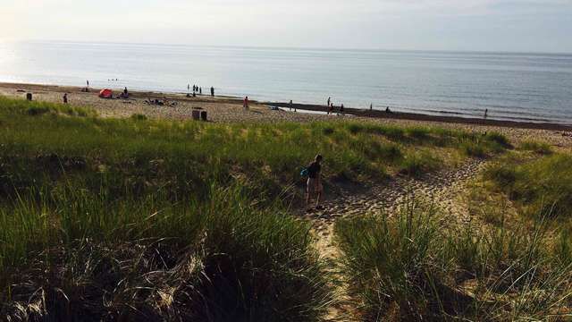 Indiana Dunes Campground | Indiana dunes state park, Indiana dunes, New