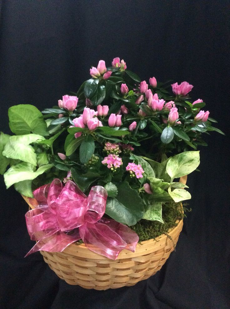 Planter basket Flower delivery, Flowers delivered