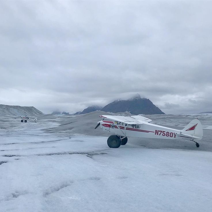 Pin on bush planes