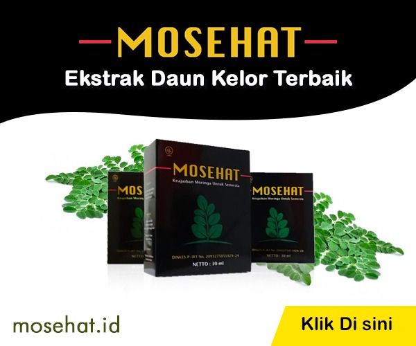 Obat Penyakit Asam Urat Asam Urat Penyakit Herbal