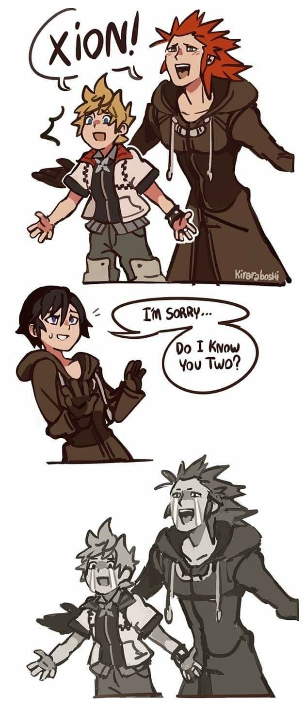Noooooooooooooooooo I D Rather Have Her Norted Than This Illustrations I Heart Kingdom Hearts Meme Kingdom Hearts Fanart Kingdom Hearts