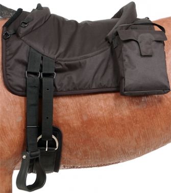 Check out the deal on Tough-1 Premium Bareback Pad with Accessory Bags at Chicks… Check out the deal on Tough-1 Premium Bareback Pad with Accessory Bags at Chicks…