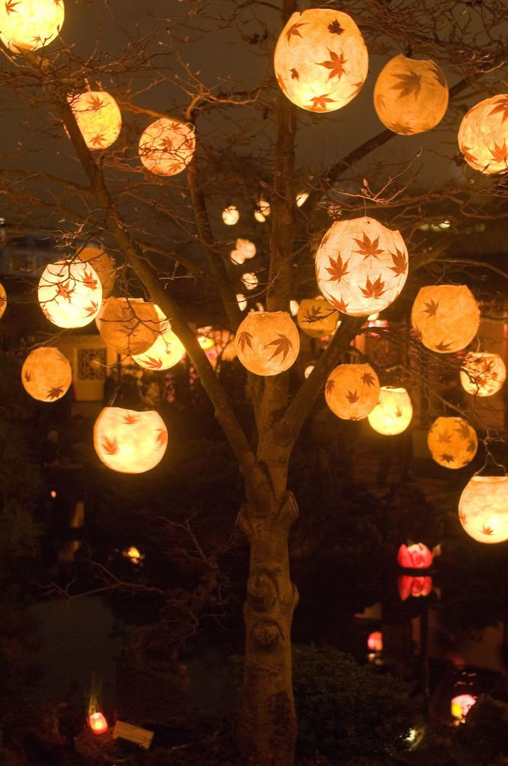 177 best chinese paper lanterns images on pinterest 177 best chinese paper lanterns images on pinterest