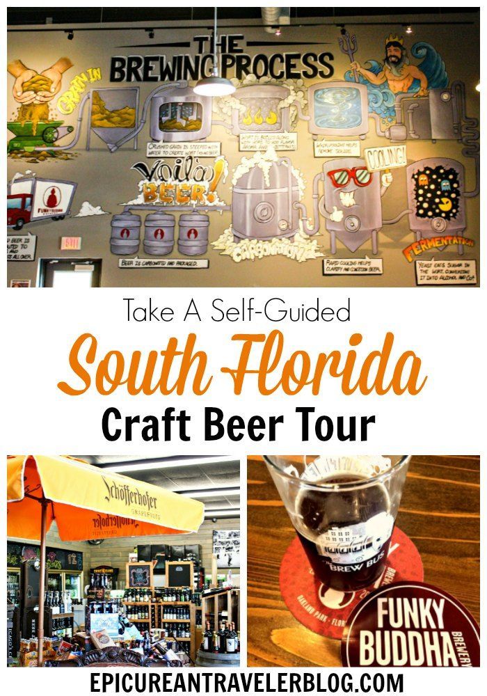 153 best florida travel images on pinterest usa travel florida gatorland hospitality days flyer