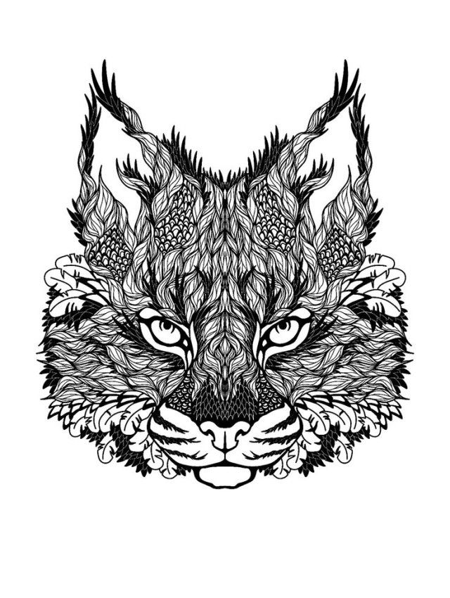 201 best omalovánky images on Pinterest | Drawings, Coloring books ... 201 best omalovánky images on Pinterest | Drawings, Coloring books ...