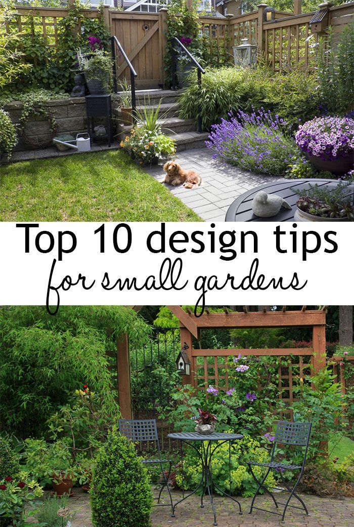 10 Garden Design Tips To Make The Most Of Small Spaces How Your Gardens Space Gardening Backyard Landscaping Gardening Backyard Landscaping, Gardening Tips For Small Spaces