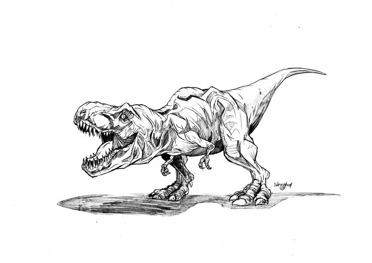 free t rex coloring pages Jurassic Park T Rex Coloring Pages 4th - fresh coloring pages for fourth of july free t rex coloring pages Jurassic Park T Rex Coloring Pages 4th - fresh coloring pages for fourth of july