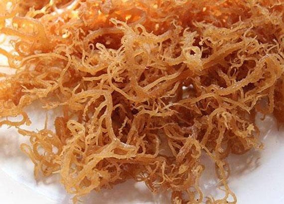 Sea Moss Raw Wildcrafted Irish Sea Moss Dr Sebi Inspired Etsy In 2021 Sea Moss Irish Moss Sun Dried