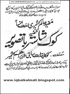 Lazzat Un Nisa Ebook Download