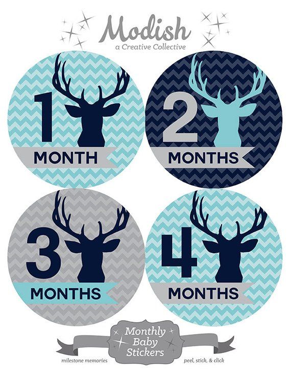 Woodland Tribal Stickers Tribal Baby Month Stickers Woodland Nursery Decor Gray Navy Blue Tribal Deer Antler Baby Boy Monthly Stickers