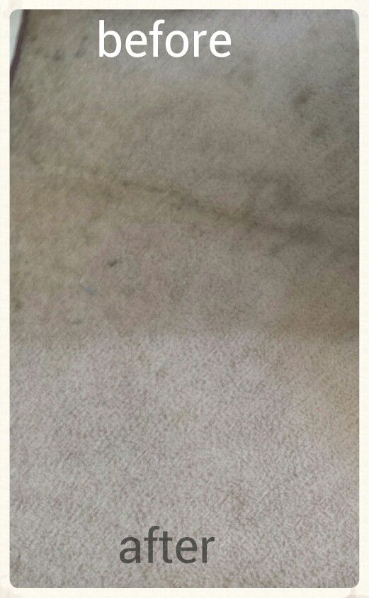 Carpet Cleaner 1cup White Vinegar Club Soda Blue Dawn Carpet Cleaner 1cup White Vinegar Club Soda Blue Dawn Dish Soap Just Used This On My With A Scrubber Clean House