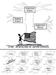 Branches of Government Essay