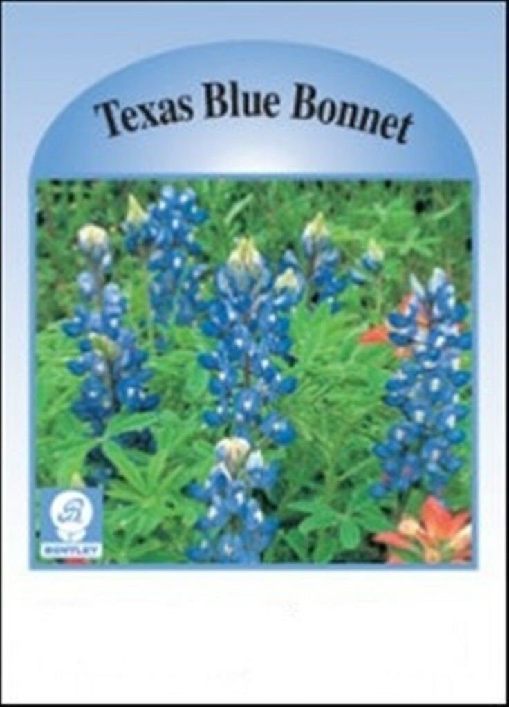 Bulk Seeds 181119 Imperfect Flower Seed Packets, Texas Blue Bulk Seeds 181119 Imperfect Flower Seed Packets, Texas Blue