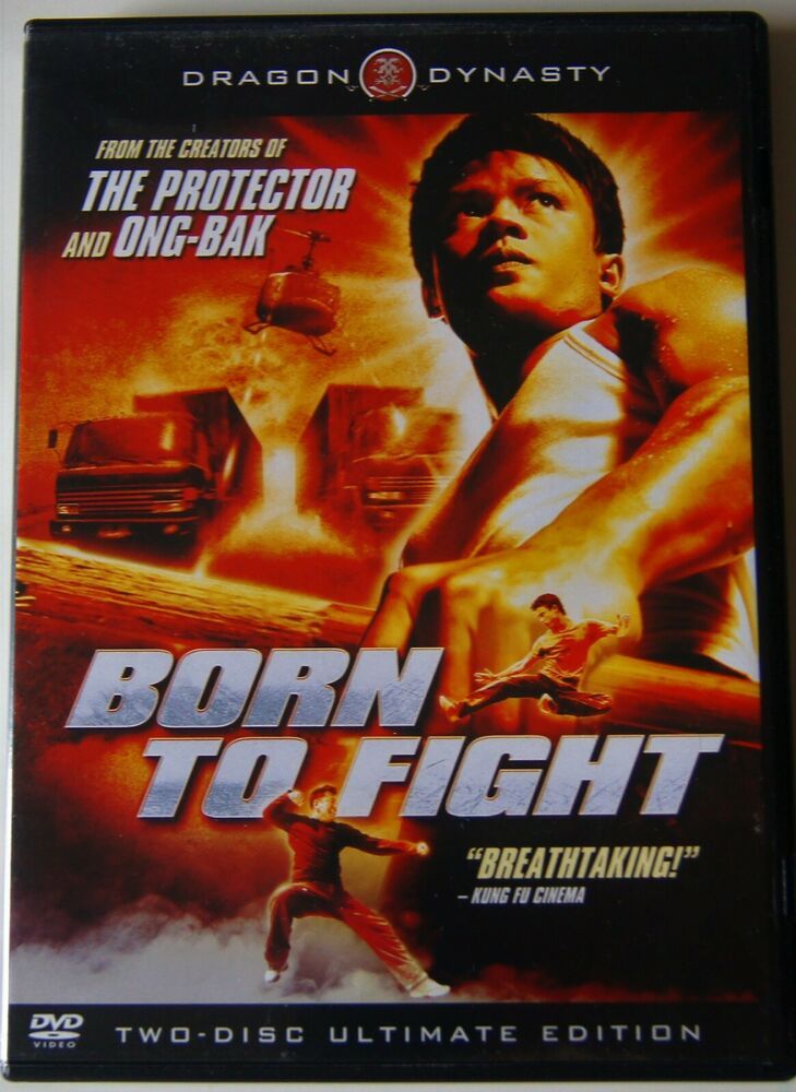 the martial arts kid full movie free
