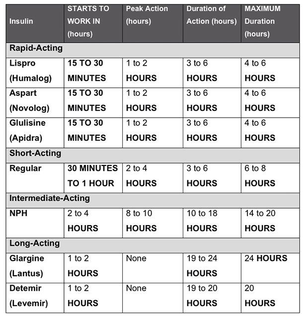 47 best Forever Learning images on Pinterest Nursing schools - nursing resume new grad 47 best Forever Learning images on Pinterest Nursing schools - nursing resume new grad