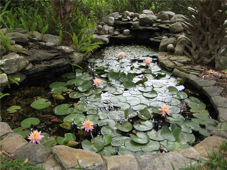 water garden designs pictures | garden design ideas water garden designs pictures | garden design ideas