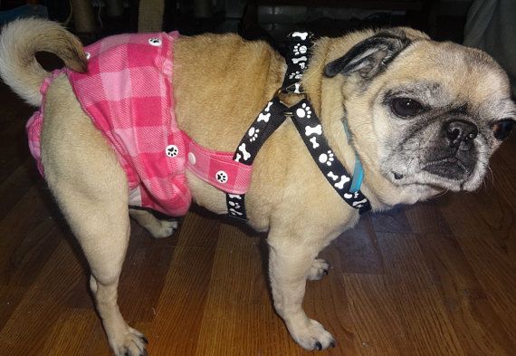 Female Dog Diaper That Stays On Attaches To Any Harness Not
