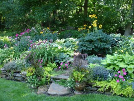 Flower Garden Ideas Shade 997 best shade garden plants images on pinterest | plants, shade Flower Garden Ideas Shade 997 best shade garden plants images on pinterest | plants, shade