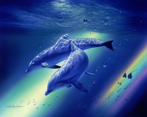 Dolphins Rainbow Dauphin Dessin Dauphin Dauphin Rose Dolphins Rainbow Dauphin Dessin Dauphin Dauphin Rose